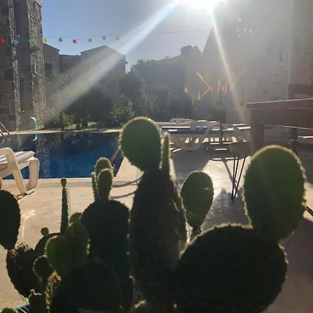 La Petra Eski Oda ve Kahvaltı 2*