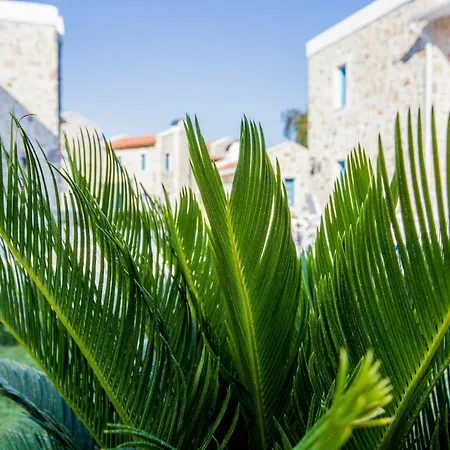 La Petra Eski 2* Datca